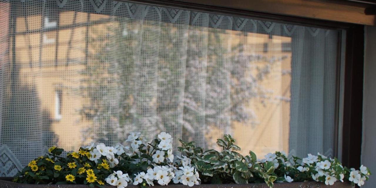 Ferienwohnung Liebeskind Hopfgarten  المظهر الخارجي الصورة